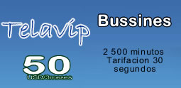 voip bussines