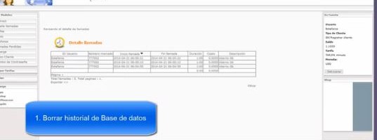 18.5 BORRAR PAGOS Y LLAMADAS